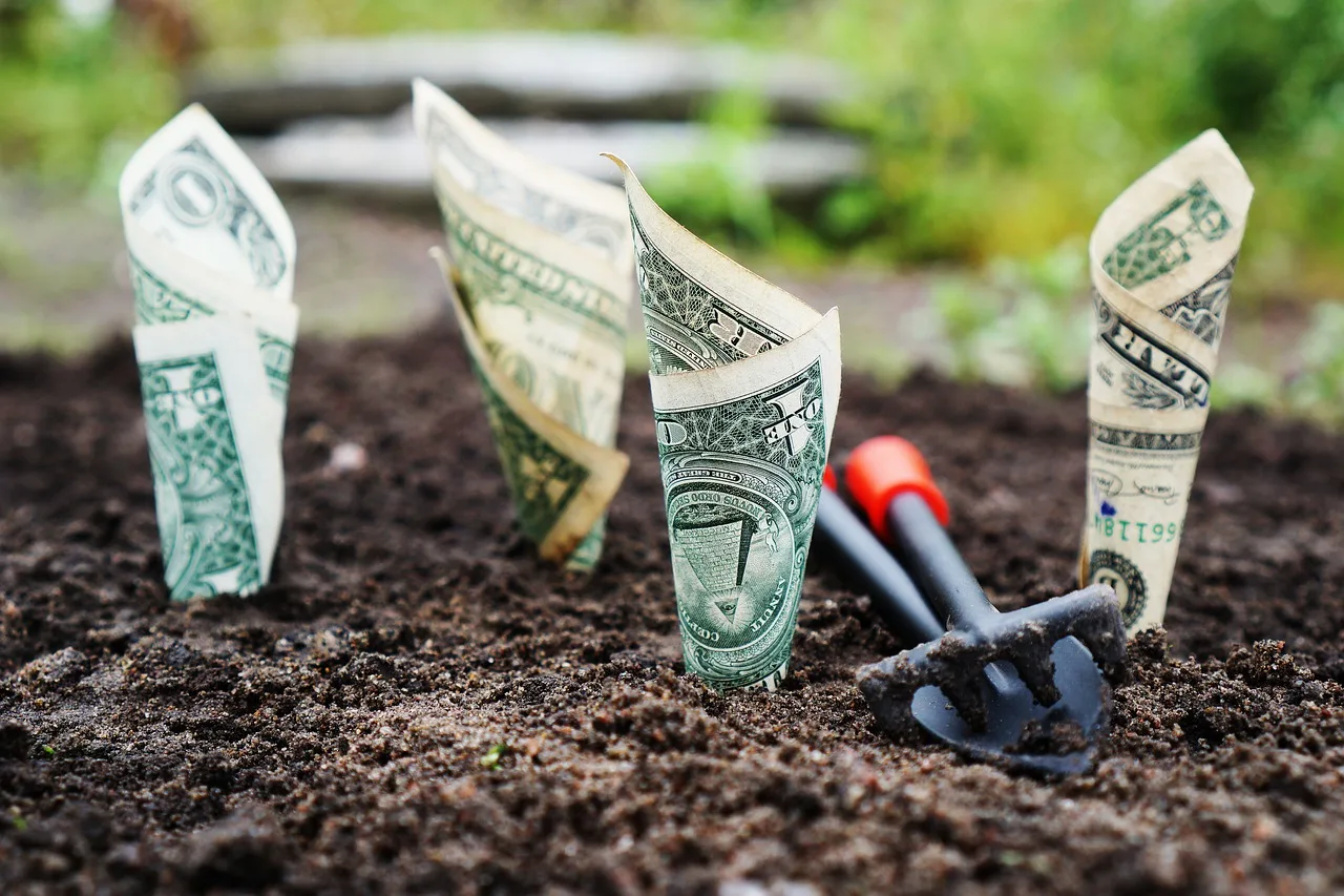 money, grow, interest, save, invest, shares, funds, the bank, finance, banknotes, financial, savings account, bank account, money, money, money, money, money. Why 'banking fees rules 2027' is the wrong frame