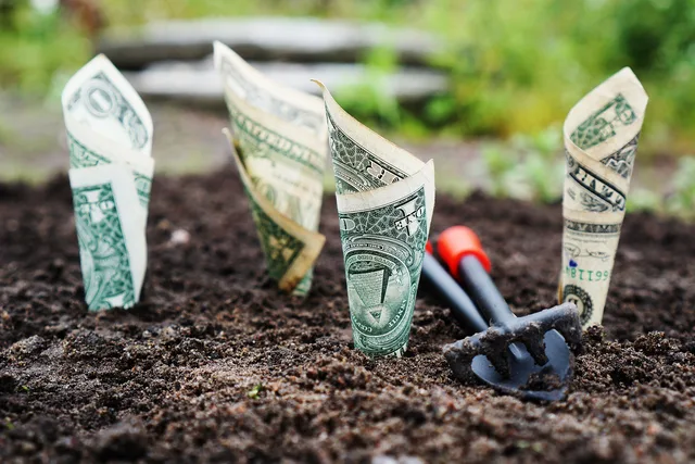 money, grow, interest, save, invest, shares, funds, the bank, finance, banknotes, financial, savings account, bank account, money, money, money, money, money. Why 'banking fees rules 2027' is the wrong frame