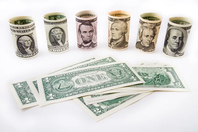 dollar, money, cash, currency, finance, bank, financial, the crisis, green, wealth, usa, bank note, bill, business, federal reserve system, dollar, money, money, money, money, money, bank. Naming the money before you move it into business savings