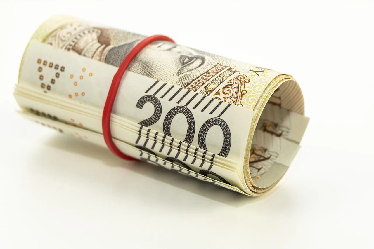 money, banknotes, buck, roll, pack, bank, finances, wealth, currency, bills, corruption, piggy bank, prices, investments, success, bank note, finance, financial, payments, trade, insurance, accounting, gain, corruption, corruption, corruption, corruption, corruption, insurance. 5 things worth knowing about cash management requirements