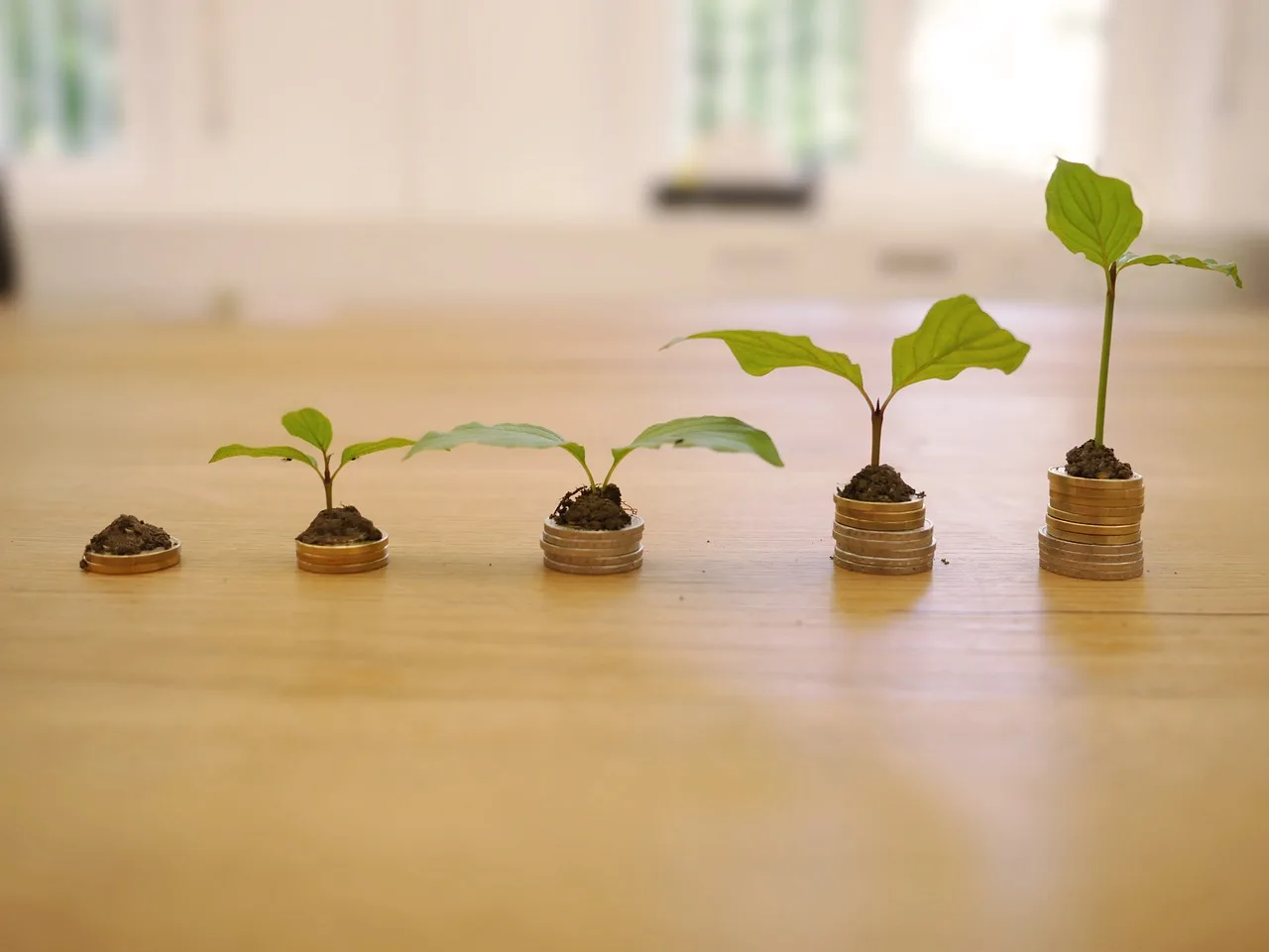 growth, credit, cost, interest charges, finance, money, business, investments, loan, payment, income, wealth, bank, cash, coin, cost, cost, cost, cost, cost, income, income. High-yield accounts: what matters beyond the quoted rate