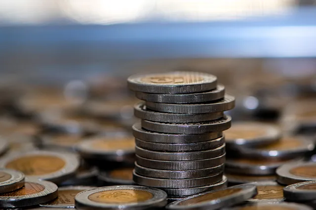 banking, economy, earnings, coins, money, cash, savings, metal, finance, profit, deposit, earning, many, israeli shekels, income, currency, bank, coinage, sheqalim, trade, market, transfer, international, loose change, pile. Interac EFT Lynx payment rails: settlement and uses